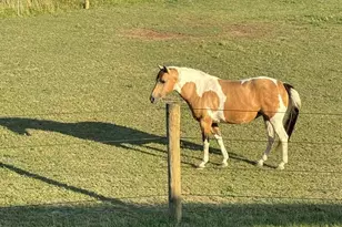 1461 New Rd, Orrtanna, PA 17353 - Photo 33