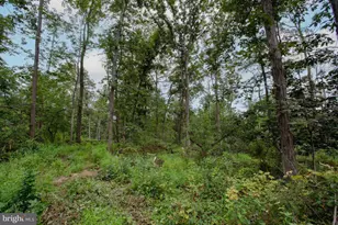 2325 York Rd, Gettysburg, PA 17325 - Photo 51