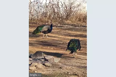 2325 York Road, Gettysburg, PA 17325 - Photo 57