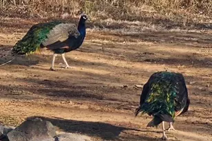 2325 York Rd, Gettysburg, PA 17325 - Photo 57