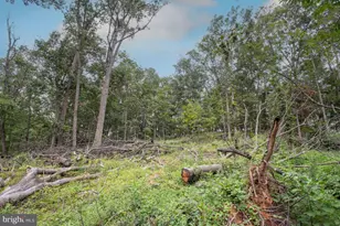 2325 York Rd, Gettysburg, PA 17325 - Photo 43