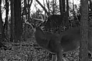 2325 York Rd, Gettysburg, PA 17325 - Photo 59