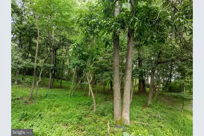 11 Mary Ann Trail, Fairfield, PA 17320 - Photo 3