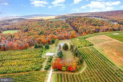 502 Celebration Hill Road, Biglerville, PA 17307 - Photo 77