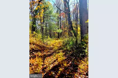 502 Celebration Hill Road, Biglerville, PA 17307 - Photo 53