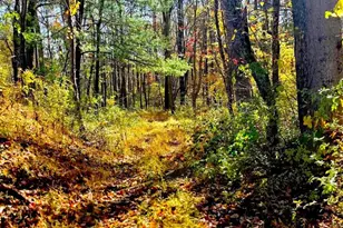 502 Celebration Hill Rd, Biglerville, PA 17307 - Photo 53