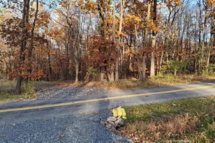 80 Lightning Trail, Fairfield, PA 17320 - Photo 1