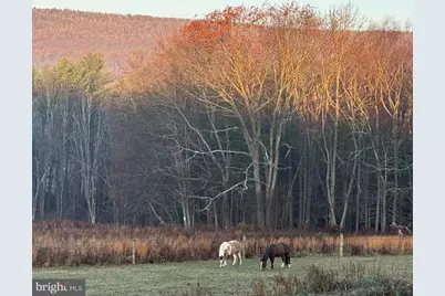 1461 New Road, Orrtanna, PA 17353 - Photo 39