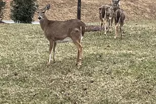 47 Blue Bird Trail, Fairfield, PA 17320 - Photo 47