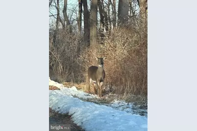 10 & 8 Fir Trail, Fairfield, PA 17320 - Photo 5