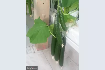 435 Fickes School Road, York Springs, PA 17372 - Photo 19