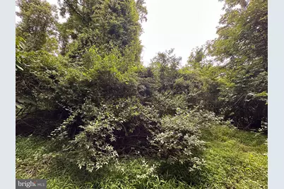 Tract 1: .52+/- Acres Hickory Trail, Fairfield, PA 17320 - Photo 21