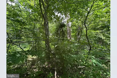 Tract 3: .52+/- Acres Oak Ridge Trail, Fairfield, PA 17320 - Photo 11