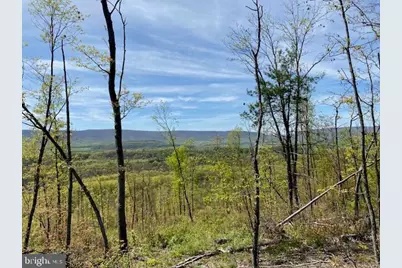 Lot 6 Polecat Hollow Road, Hopewell, PA 16650 - Photo 7
