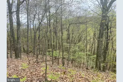 Lot 6 Polecat Hollow Road, Hopewell, PA 16650 - Photo 9