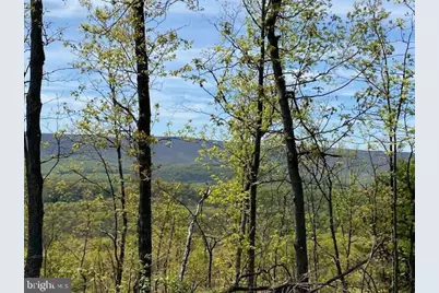 Lot 6 Polecat Hollow Road, Hopewell, PA 16650 - Photo 3