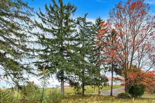 664 Breezewood S, Breezewood, PA 15533 - Photo 23