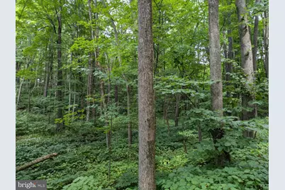 0 Berkey Hollow Road, Alum Bank, PA 15521 - Photo 17