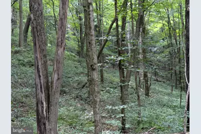 0 Berkey Hollow Road, Alum Bank, PA 15521 - Photo 9