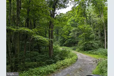 0 Berkey Hollow Road, Alum Bank, PA 15521 - Photo 3