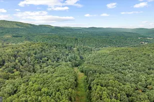 474 Blackberry Lick Rd, Clearville, PA 15535 - Photo 59