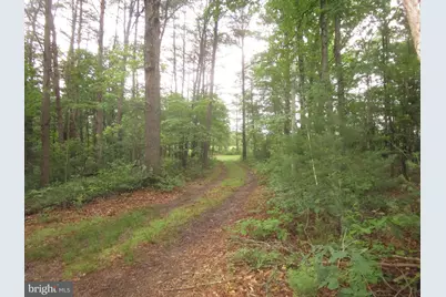 420 Green Mountain, Clearville, PA 15535 - Photo 11