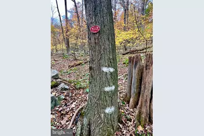 1858 Sandy Run Road, Hopewell, PA 16650 - Photo 33