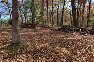 216 Cove St, Everett, PA 15537 - Photo 39