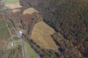 1461 Big Creek Rd, Clearville, PA 15535 - Photo 41