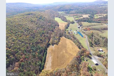 1461 Big Creek Road, Clearville, PA 15535 - Photo 5