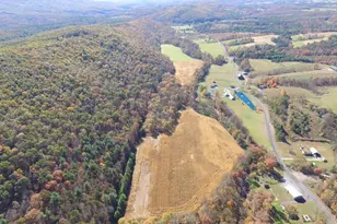 1461 Big Creek Rd, Clearville, PA 15535 - Photo 5