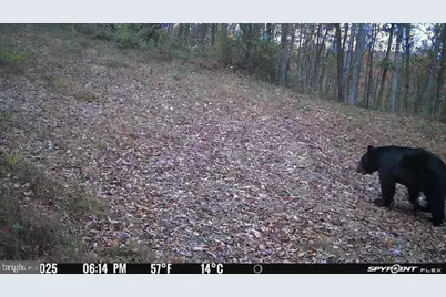 300 Beegle Road, Everett, PA 15537 - Photo 101