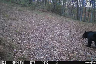 300 Beegle Rd, Everett, PA 15537 - Photo 101