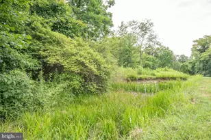 300 Beegle Rd, Everett, PA 15537 - Photo 55