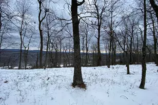 1790 Monroe Mountain Rd, Clearville, PA 15535 - Photo 3