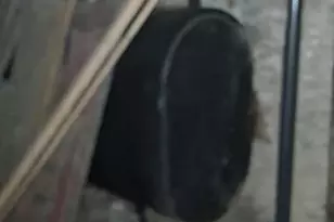 754 Gooseberry Rd, Hyndman, PA 15545 - Photo 35