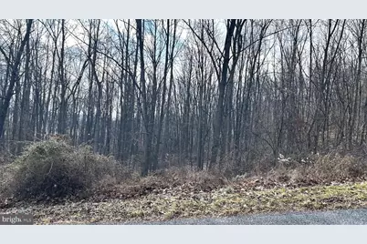 Lot #17 Weaver Woods Rd, Saxton, PA 16678 - Photo 3