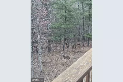 211 Martin Road, Artemas, PA 17211 - Photo 37