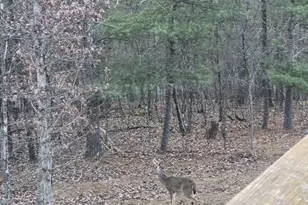 211 Martin Rd, Artemas, PA 17211 - Photo 37