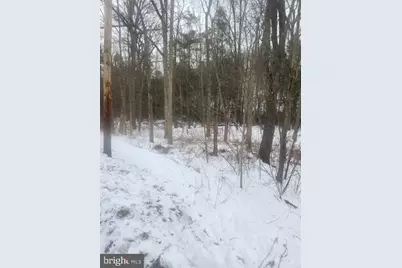 Brush Creek Road, Breezewood, PA 15533 - Photo 5