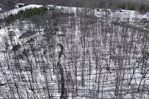 3402 Elk Lick Rd, Everett, PA 15537 - Photo 63