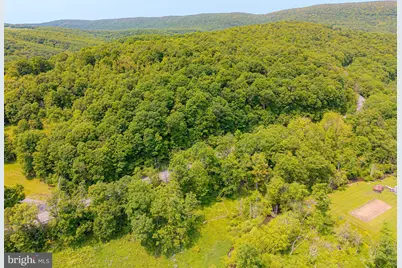 930 Osman Road, Alum Bank, PA 15521 - Photo 53