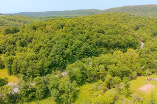 930 Osman Rd, Alum Bank, PA 15521 - Photo 53