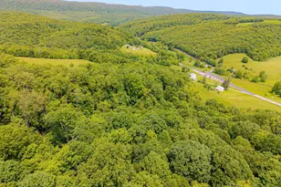 930 Osman Rd, Alum Bank, PA 15521 - Photo 59