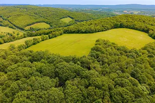 930 Osman Rd, Alum Bank, PA 15521 - Photo 61