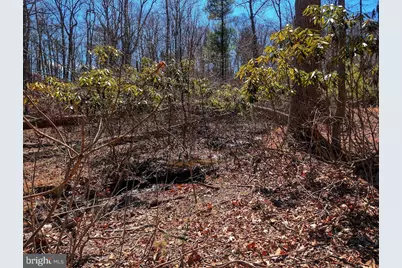 364 Valentine Acres Road, Clearville, PA 15535 - Photo 81