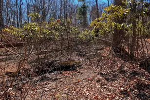 364 Valentine Acres Rd, Clearville, PA 15535 - Photo 81