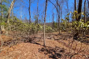 364 Valentine Acres Rd, Clearville, PA 15535 - Photo 83