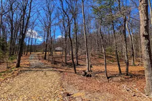 364 Valentine Acres Rd, Clearville, PA 15535 - Photo 85