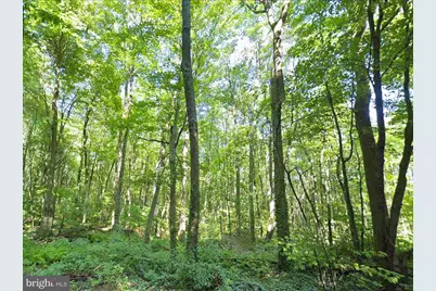 00 Weavers Wood Road, Saxton, PA 16678 - Photo 7